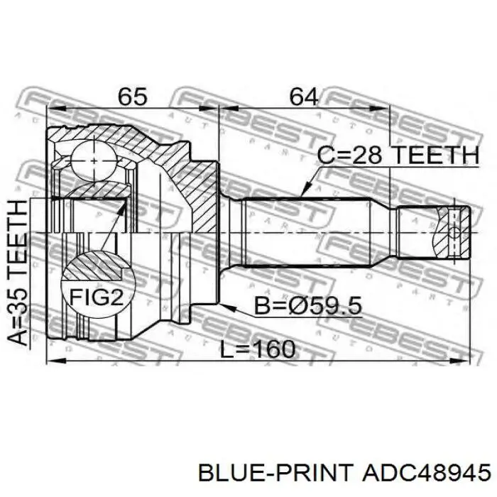 ADC48945 Blue Print junta homocinética exterior delantera