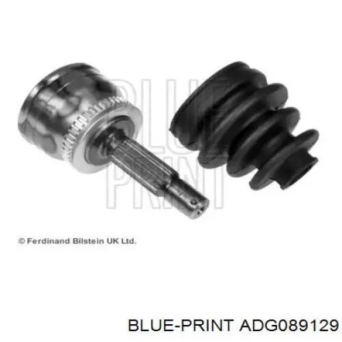 ADG089129 Blue Print junta homocinética exterior delantera