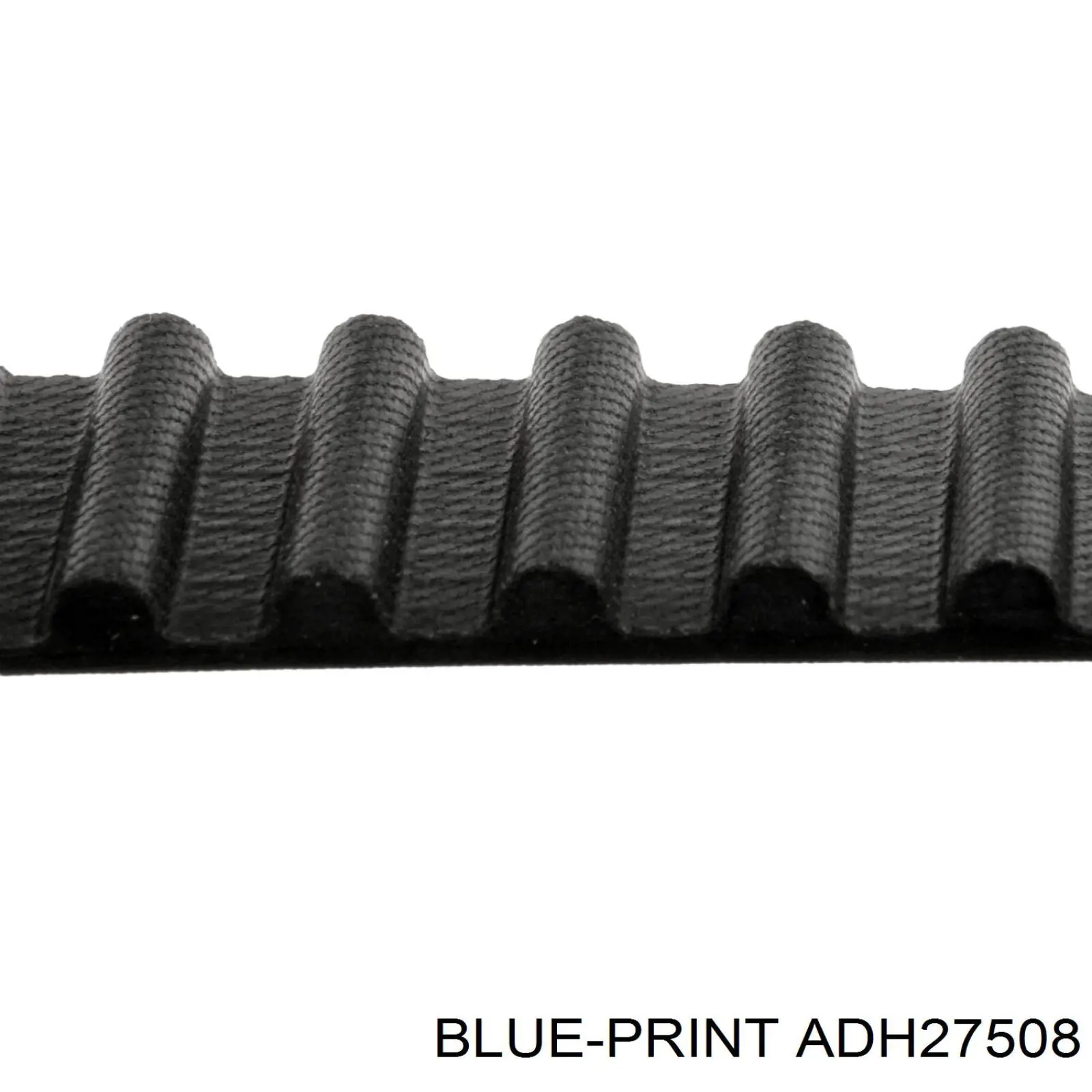 ADH27508 Blue Print correa distribucion