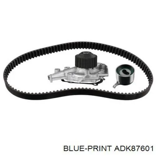 ADK87601 Blue Print rodillo, cadena de distribución