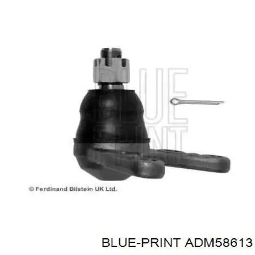  Rótula de suspensión inferior para Ford Ranger ER