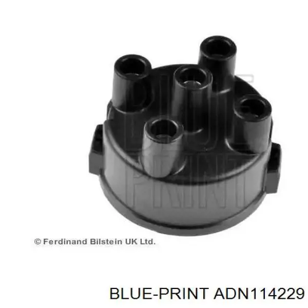 ADN114229 Blue Print 