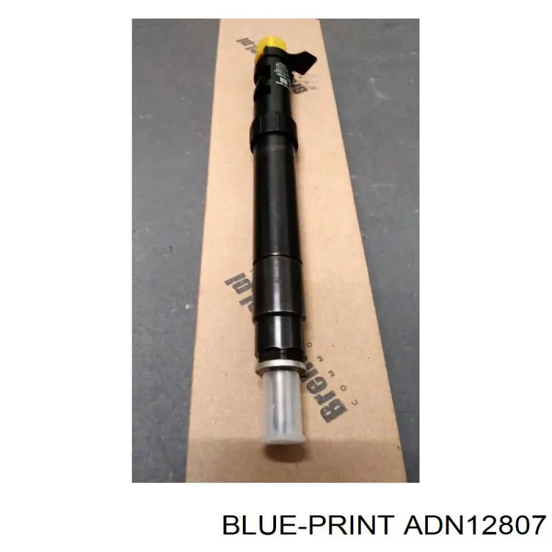 ADN12807 Blue Print 