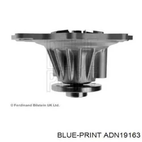 ADN19163 Blue Print bomba de agua