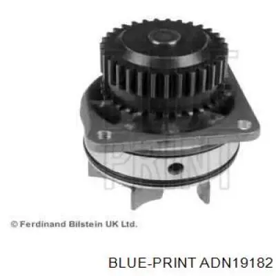 ADN19182 Blue Print bomba de agua