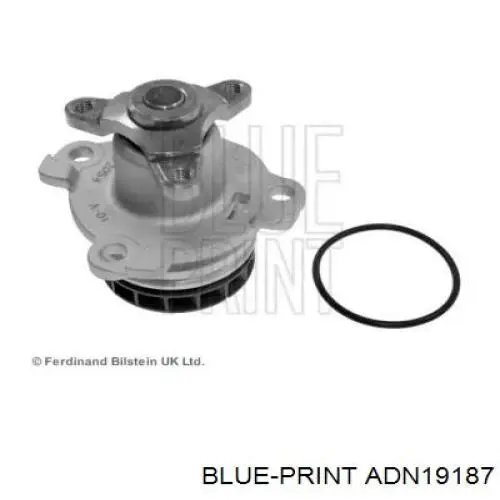 ADN19187 Blue Print bomba de agua