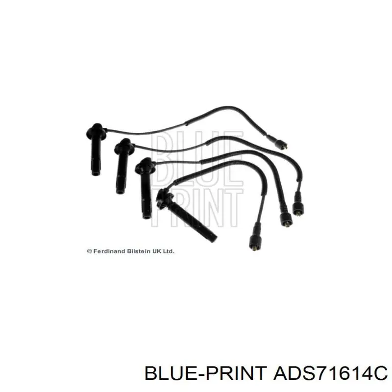 ADS71614C Blue Print juego de cables de encendido