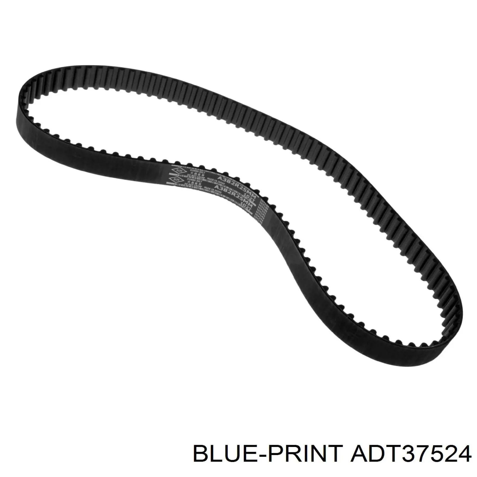 ADT37524 Blue Print correa distribucion