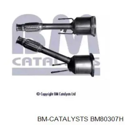 BM80307H BM Catalysts catalizador