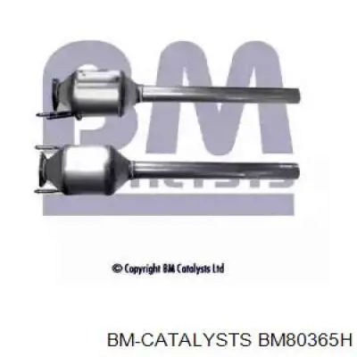 BM80365H BM Catalysts 