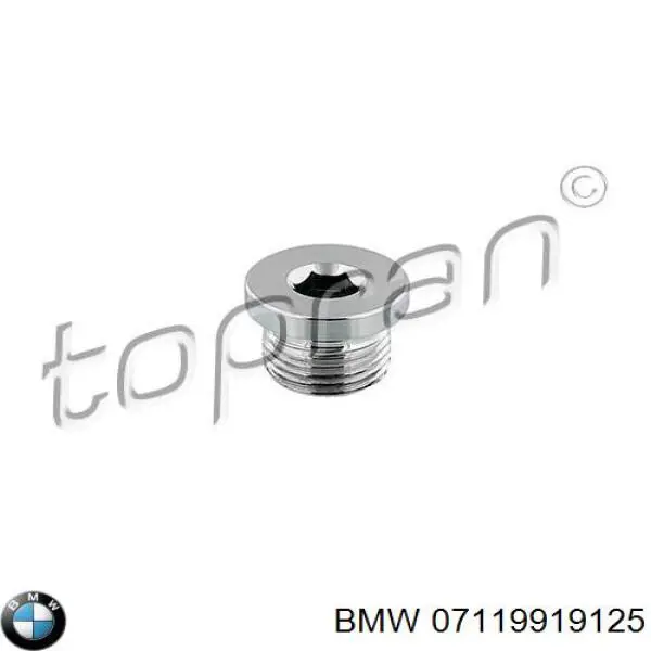 07119919125 BMW tapón roscado, colector de aceite