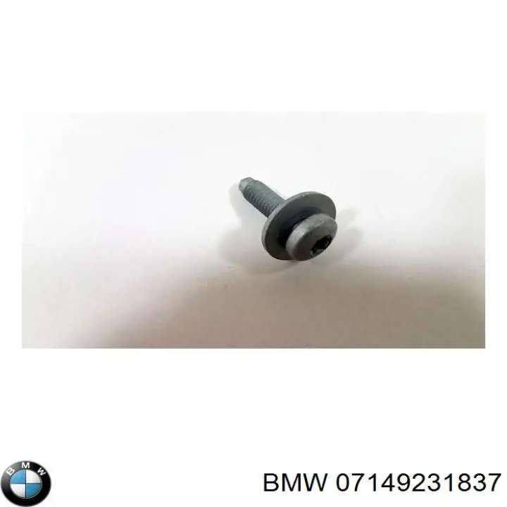 07149231837 BMW 