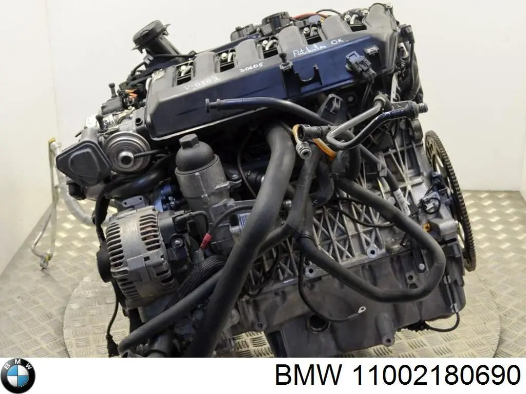 11002180690 BMW motor completo