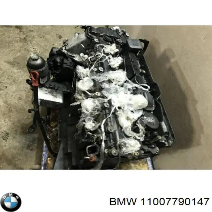 11007790147 BMW motor completo