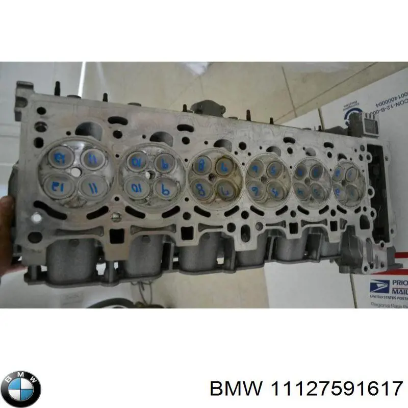 11127548920 BMW culata