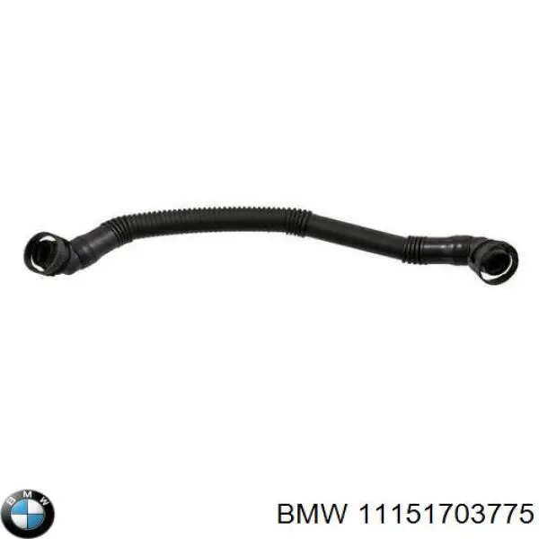 11151703775 BMW manguera tuberia de radiador (gases de escape)