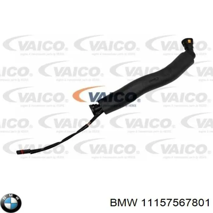 11157567801 BMW tubo de ventilacion del carter (separador de aceite)