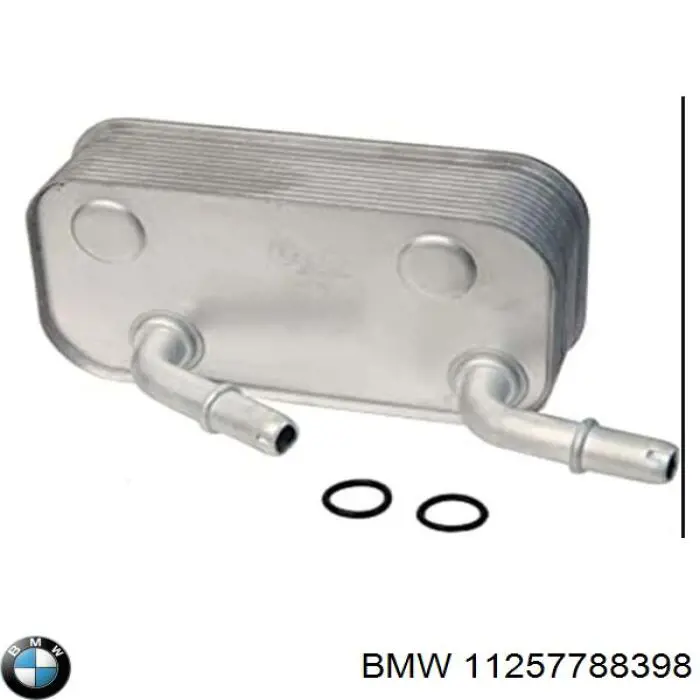 11257788398 BMW juego de aros de pistón, motor, std