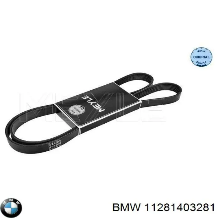 11281403281 BMW correa trapezoidal