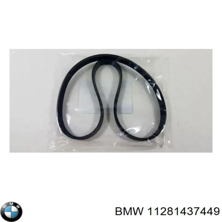 11281437449 BMW correa trapezoidal