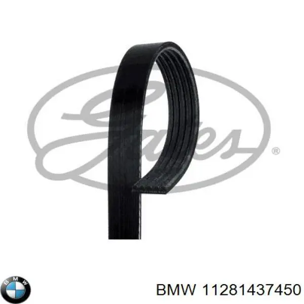 11281437450 BMW correa trapezoidal