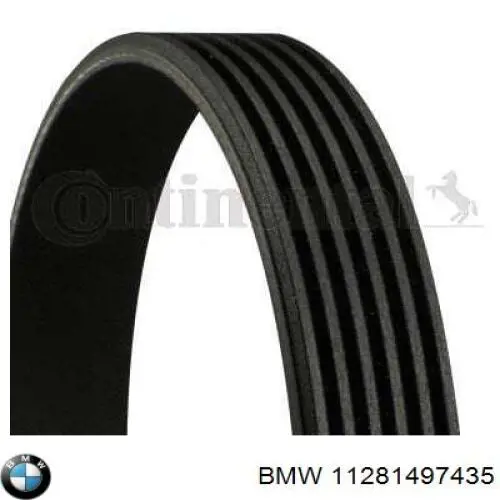 11281497435 BMW correa trapezoidal