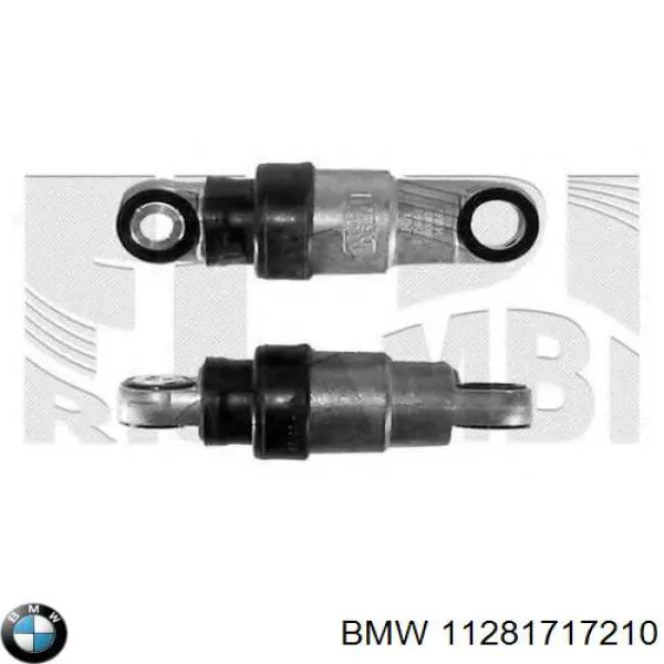 11281717210 BMW rodillo, correa trapecial poli v