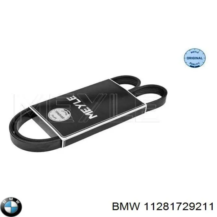 11281729211 BMW correa trapezoidal