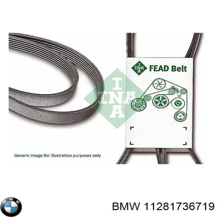 11281736719 BMW correa trapezoidal