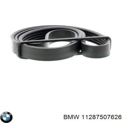 11287507626 BMW correa trapezoidal