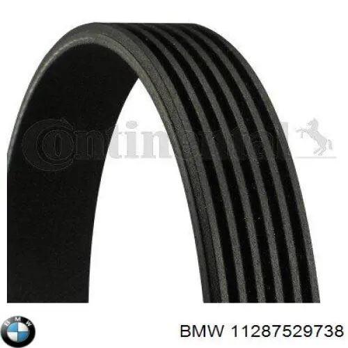 11287529738 BMW correa trapezoidal