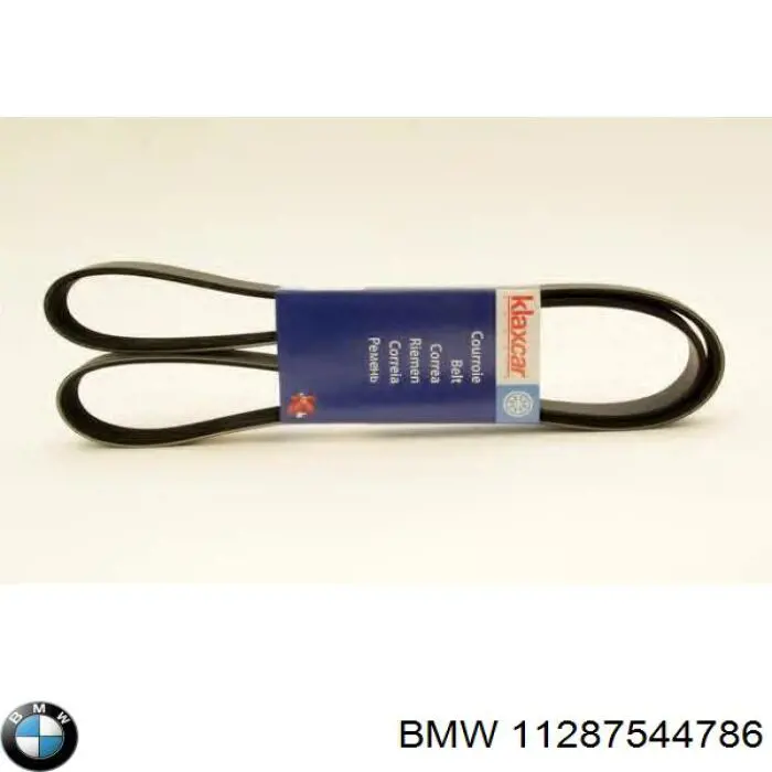 11287544786 BMW correa trapezoidal