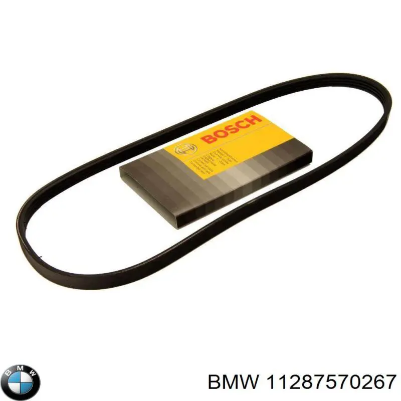 11287570267 BMW correa trapezoidal