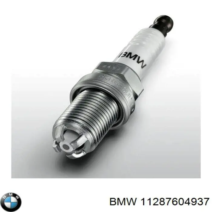 11287604937 BMW correa trapezoidal