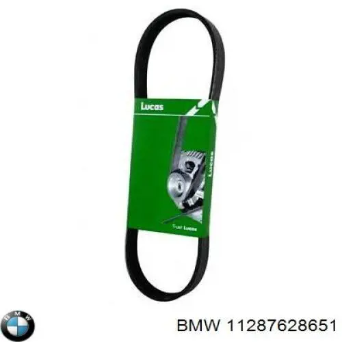 11287628651 BMW correa trapezoidal