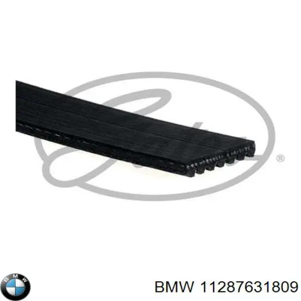 11287631809 BMW correa trapezoidal