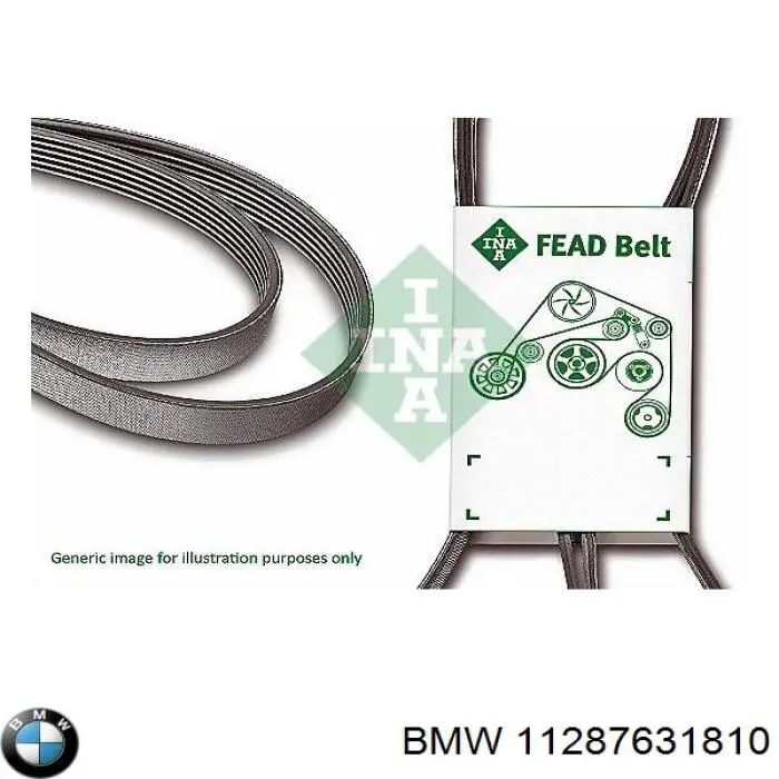 11287631810 BMW correa trapezoidal