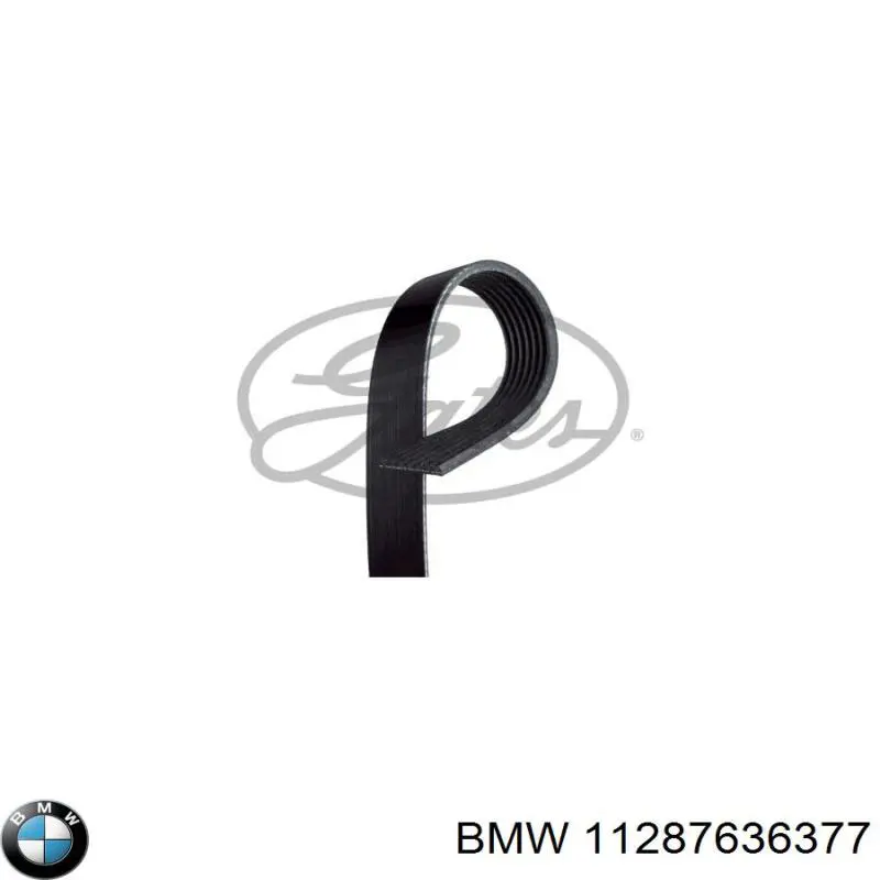 11287636377 BMW correa trapezoidal