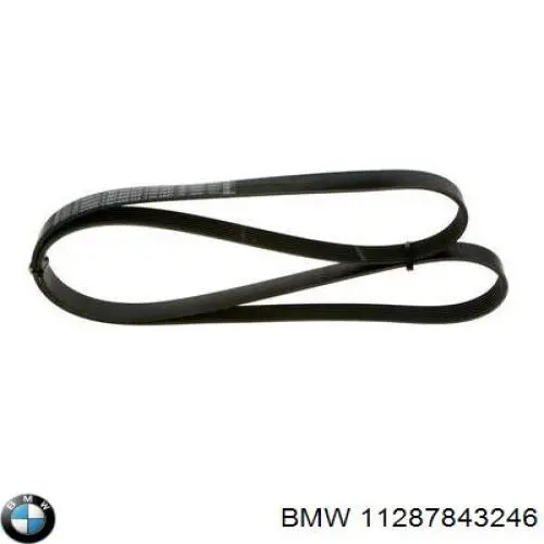 11287843246 BMW correa trapezoidal