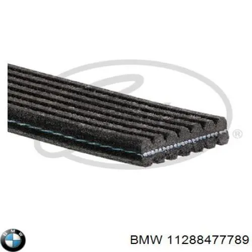 11288477789 BMW correa trapezoidal