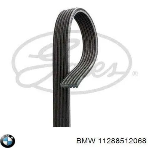 11288512068 BMW correa trapezoidal