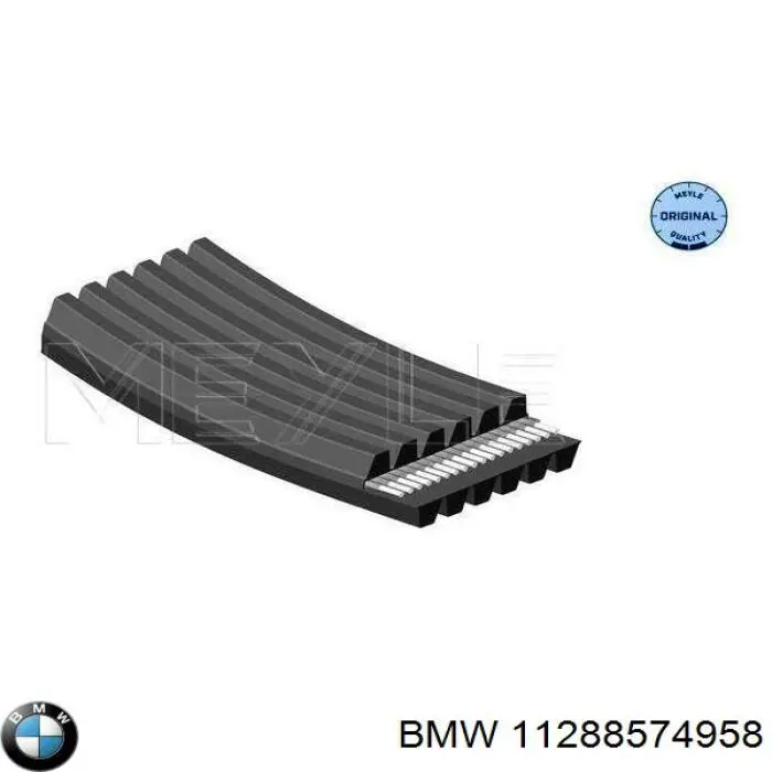 11288574958 BMW correa trapezoidal