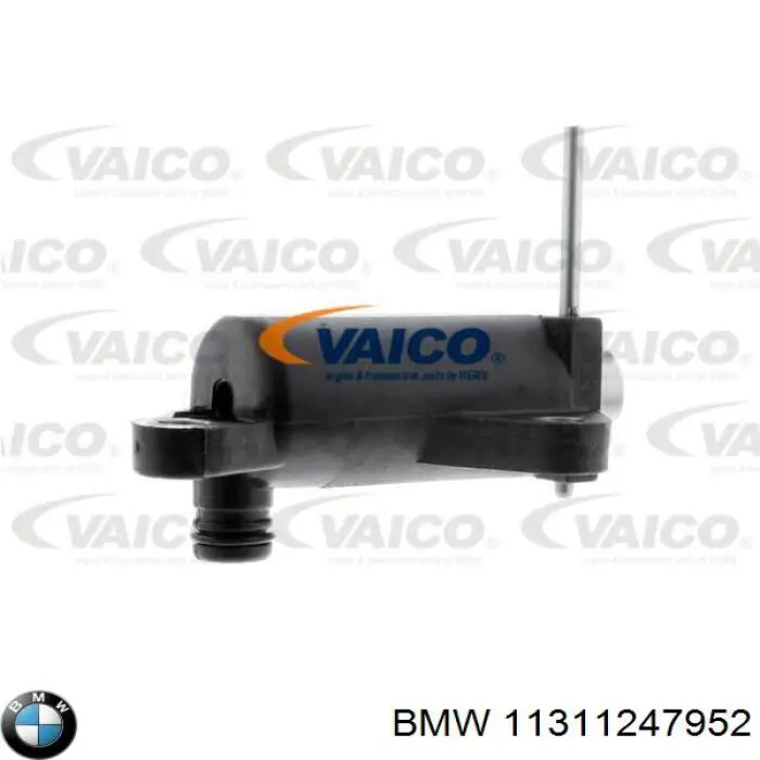 11311247952 BMW tensor, cadena de distribución