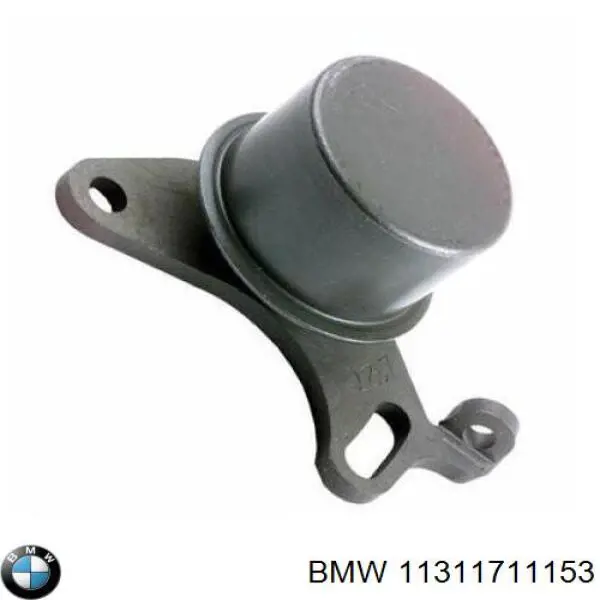 11311711153 BMW rodillo, cadena de distribución