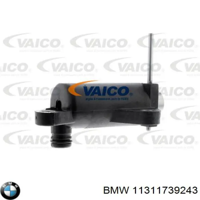 11311739243 BMW tensor, cadena de distribución