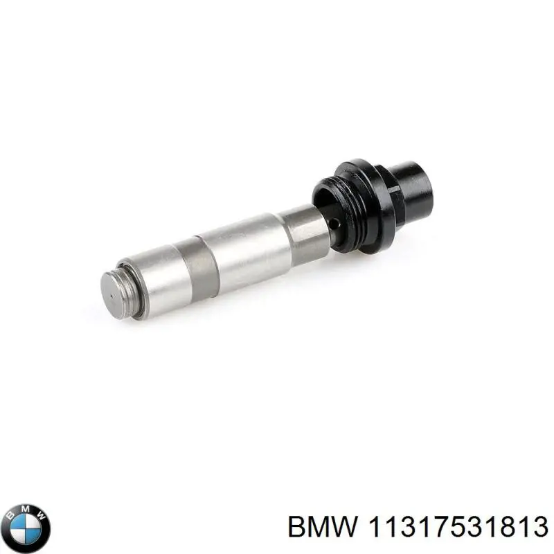 11317531813 BMW tensor, cadena de distribución