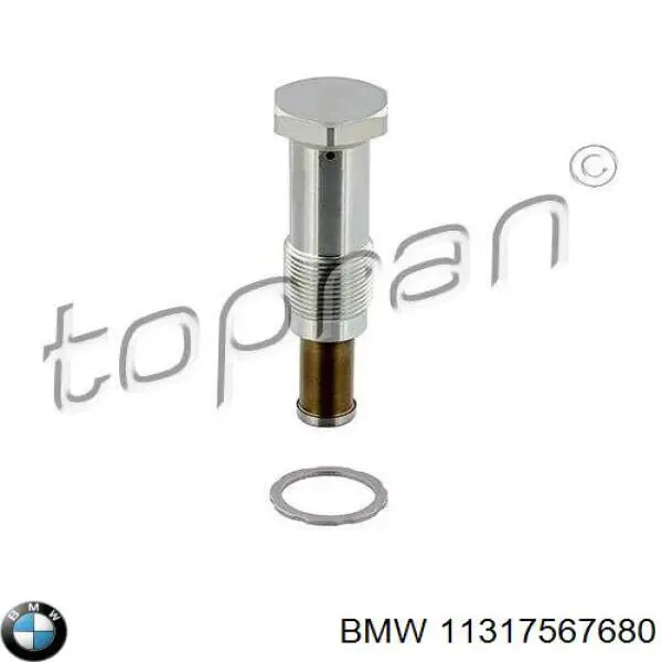 11317567680 BMW tensor, cadena de distribución