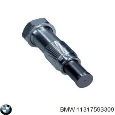 11317593309 BMW tensor, cadena de distribución