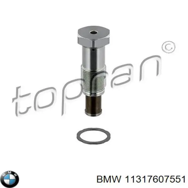 11317607551 BMW tensor, cadena de distribución