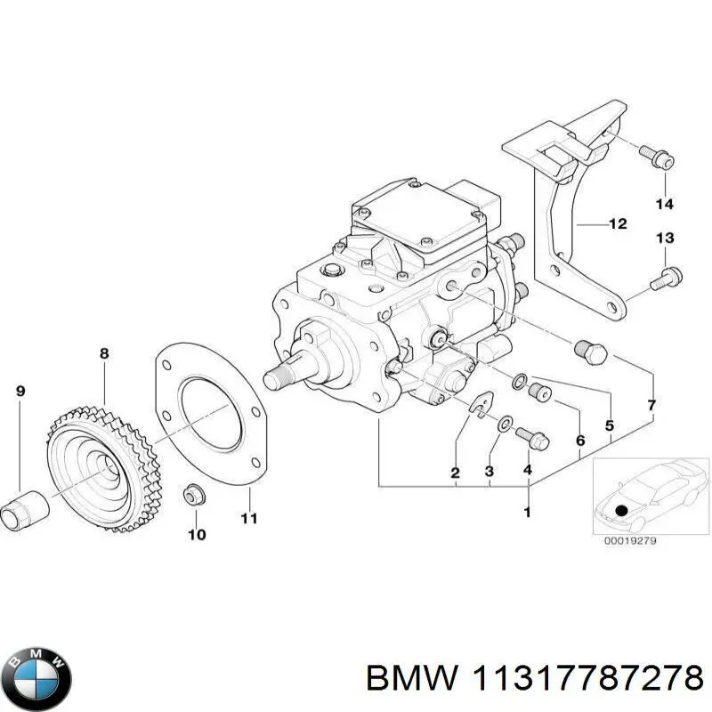 11312246812 BMW piñón cadena distribución